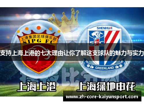 支持上海上港的七大理由让你了解这支球队的魅力与实力
