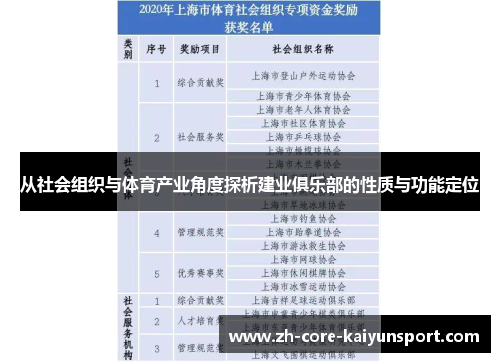从社会组织与体育产业角度探析建业俱乐部的性质与功能定位 从社会组织与体育产业角度探析建业俱乐部的性质与功能定位