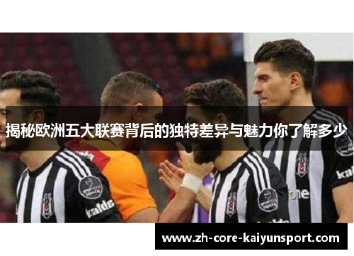 揭秘欧洲五大联赛背后的独特差异与魅力你了解多少