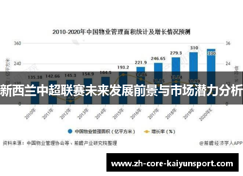 新西兰中超联赛未来发展前景与市场潜力分析