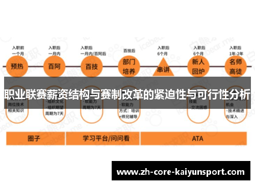 职业联赛薪资结构与赛制改革的紧迫性与可行性分析